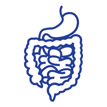 ផ្នែកជំងឺថ្លើម ក្រពះ ពោះវៀន